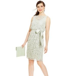 🌸Host Pick🌸Lace Belted Sheath Dress NWT